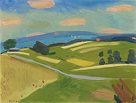 ZÜRICHSEE-LANDSCHAFT