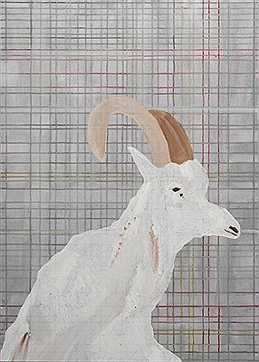Animal Studies 2001