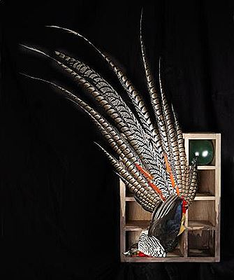 Sample artwork by Polly Morgan (Born 1980), known for sculpture - View similar artists and auction records