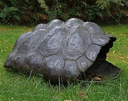 Galapagos Giant Tortoise Shell by David Cooke - Auction record, sale price, and art valuation. Compare with similar artists and explore comparable artworks.
