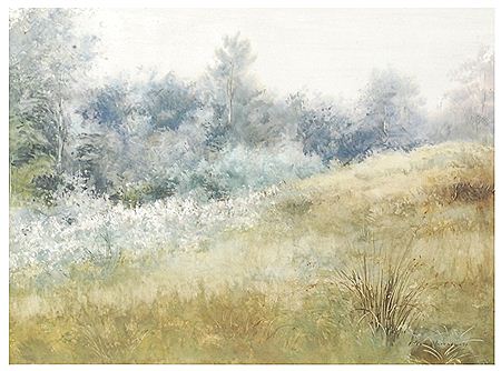 "Paisaje"