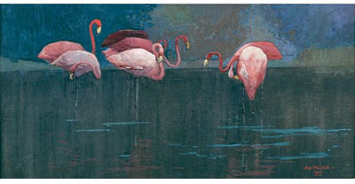 Flamingoes