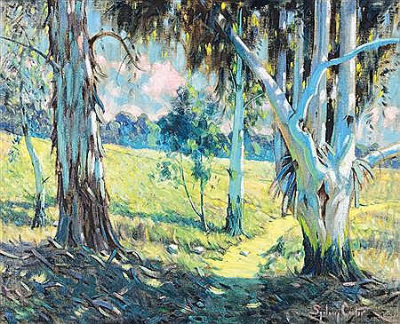 Large Blue Gums