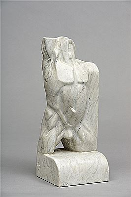 Male Torso