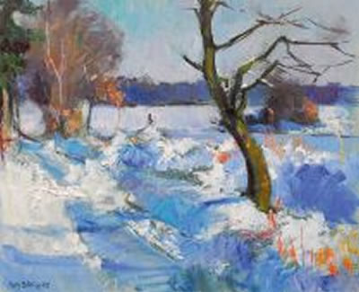 A snowy landscape