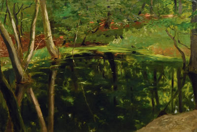 Lake in a forest