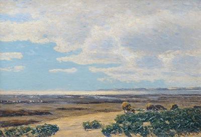 Sheep on Sylt
