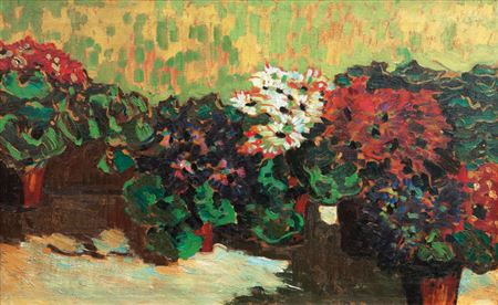 Geraniums