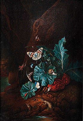 Forest Floor with a Snake, a Lizard, a Snail and Insects