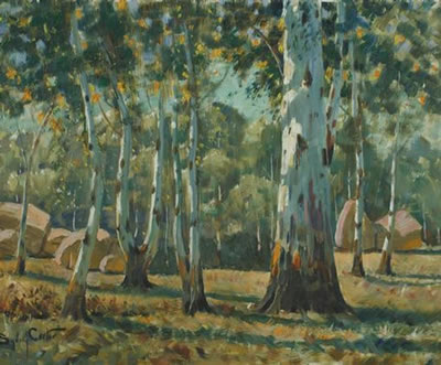 Bluegums, Parys