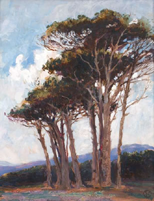 Cape View with Stone Pines