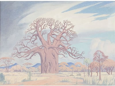 Baobab Tree