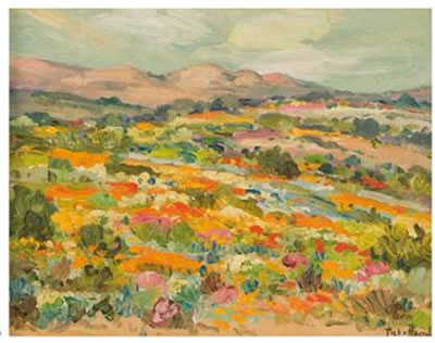 Namaqualand