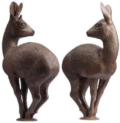 Two Klipspringers