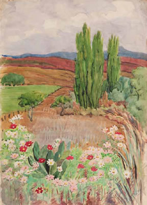 A Cosmos Landscape, Bonnefoi