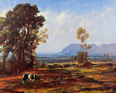 The Constantia Valley Looking Towards False Bay