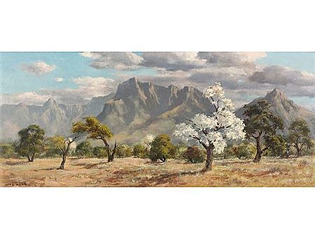 Landscape with Flowering Dombeya by Otto Klar - Auction record, sale price, and art valuation. Compare with similar artists and explore comparable artworks.