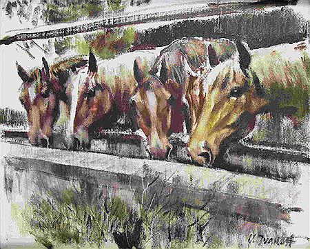 Horses Drinking