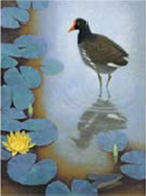 Yellow in the Water by Yasushi Sugiyama - Auction record, sale price, and art valuation. Compare with similar artists and explore comparable artworks.