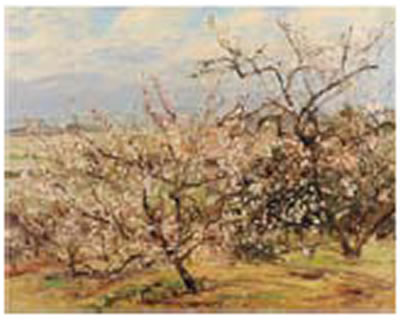 Plum Grove in Shimosoga