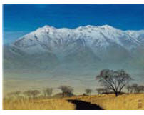 Sample artwork by Misao Yokoyama (1920 - 1973), known for painting - View similar artists and auction records