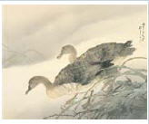 Wild Geese in Reeds
