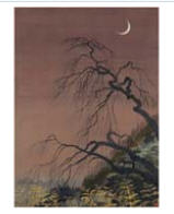 Crescent Moon in the Sky