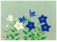 Bellflower by Kayo Yamaguchi - Auction record, sale price, and art valuation. Compare with similar artists and explore comparable artworks.