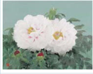 Peonies