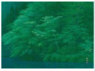 Blue Water