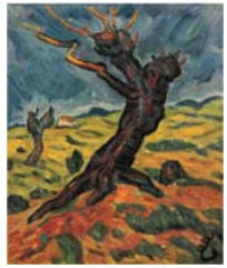 Old Trees (in a Field in Ibiza)
