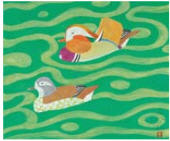 Mandarin Duck