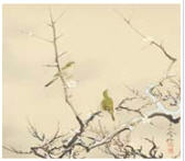 A Bird on Plum Tree