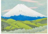 The Mount Fuji in Spring