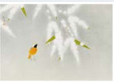 Spring Snow