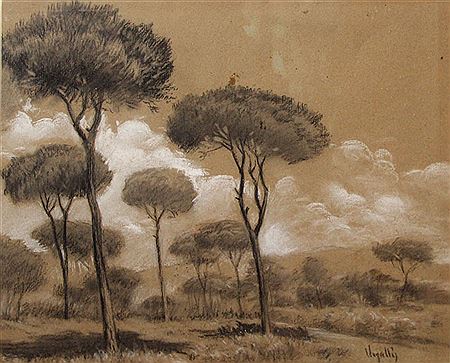 Paisaje