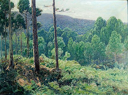 Paisaje