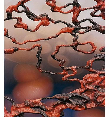 "Sin título". 2003"