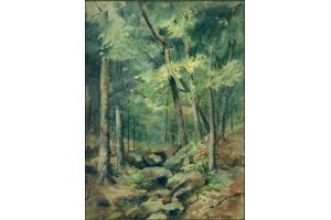 The Dry Brook