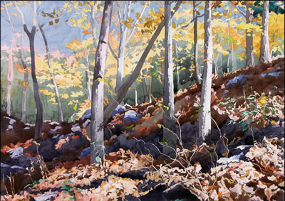 Sample artwork by Mary Ann Pope (Born 1932), known for landscape painting-forest interiors - View similar artists and auction records