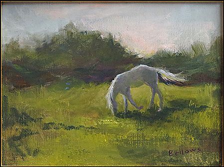 Horse Grazing