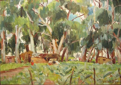 VILLAGE IN THE FOREST