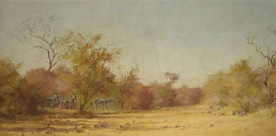 ZEBRAS IN THE BUSH