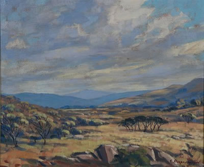 BUSHVELD LANDSCAPE