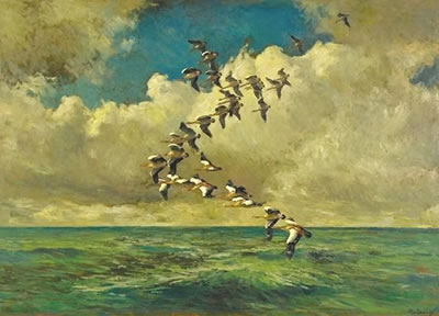A SKEIN OF EGYPTIAN GEESE OVER WATER