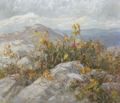 LES ALPES MARITIMES