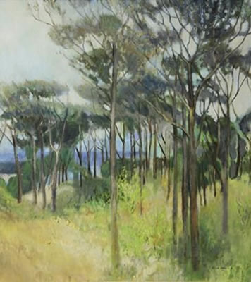 A view through the trees