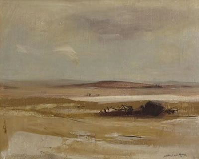 AN EXTENSIVE LANDSCAPE