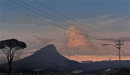 LIONS HEAD