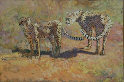 TWO CHEETAS